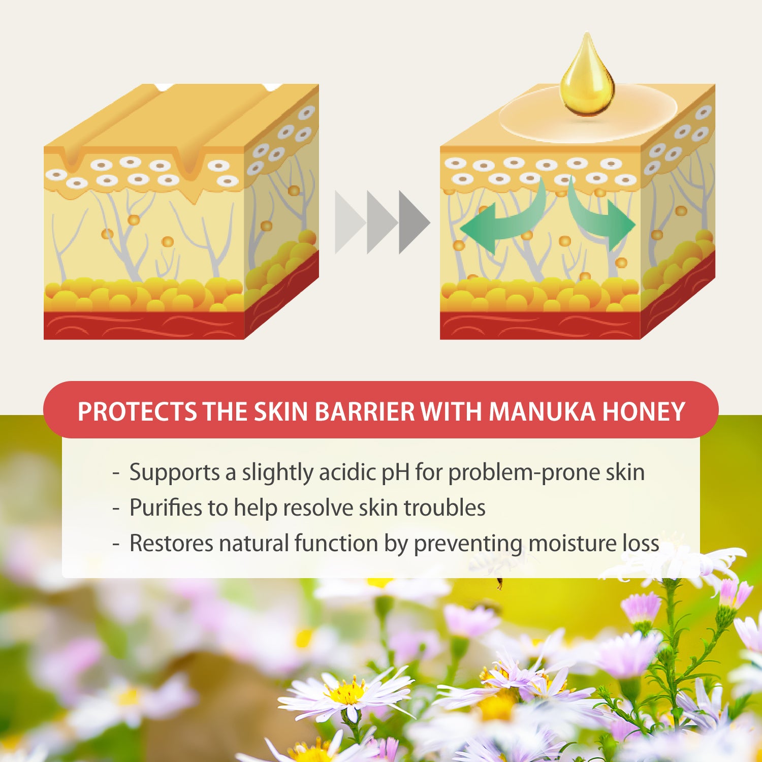 SAEMINA MANUKA HONEY SERUM